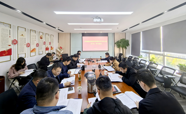 亿万28官网国控集团召开党委理论学习中心组2024年第6次学习（扩大）会议