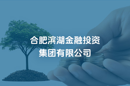 合肥亿万28官网金融投资集团有限公司