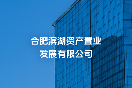 合肥亿万28官网资产置业发展有限公司