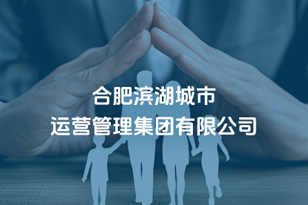 合肥亿万28官网城市运营管理集团有限公司