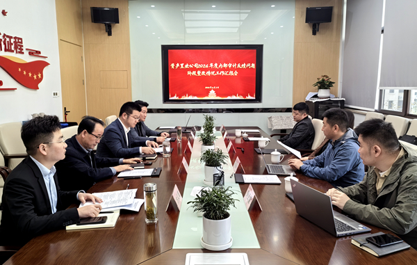 纪审联动压实整改责任，，，，，，，，精准施策激活增效动能